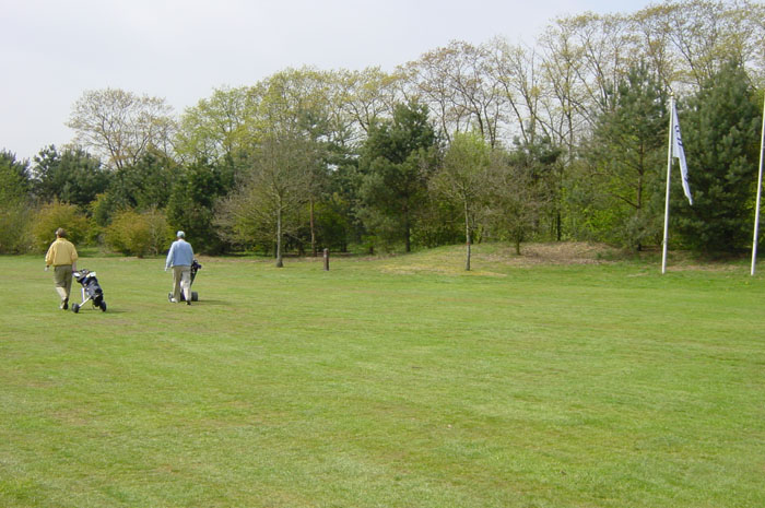 DSC00541